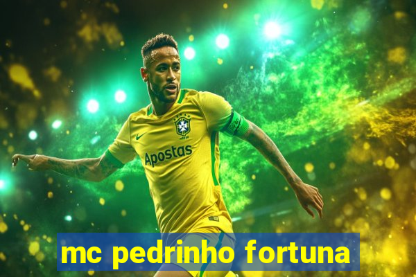 mc pedrinho fortuna